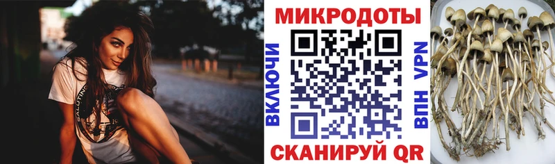 мега рабочий сайт  Омск  Псилоцибиновые грибы ЛСД 
