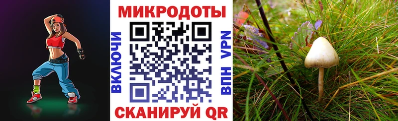 Псилоцибиновые грибы Psilocybine cubensis Омск